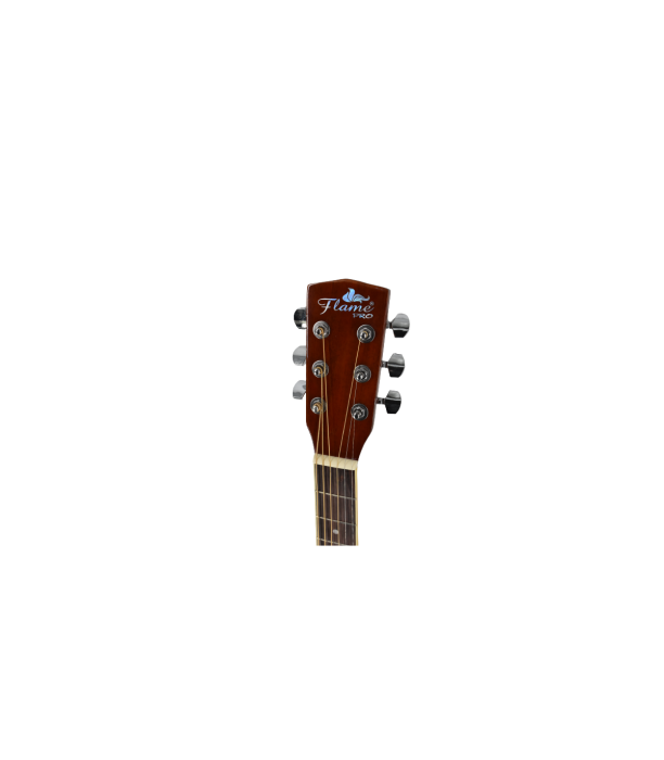 Flame Pro D120CE VS [2]