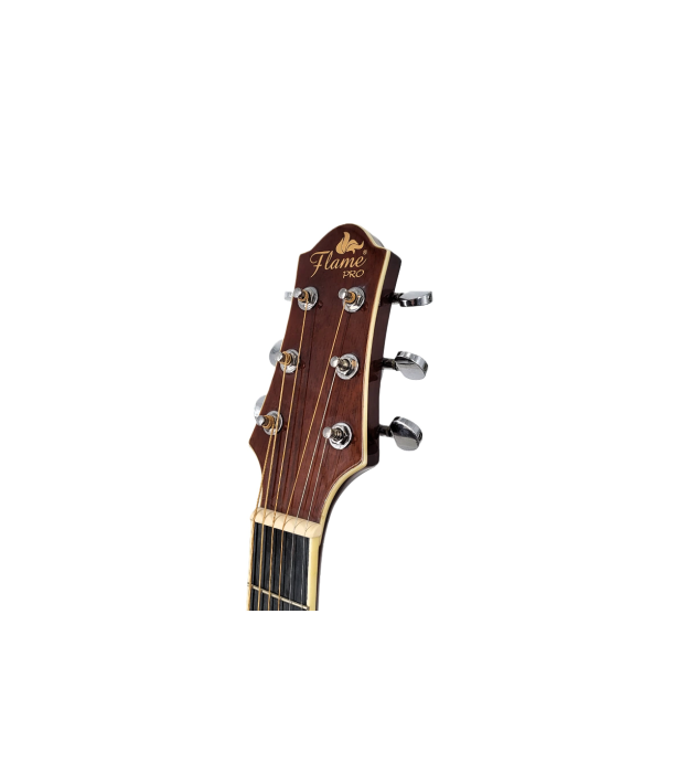 Flame Pro DC 20E SDB [3]