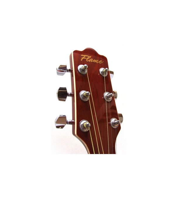 Flame Pro DG 200 CE N [3]