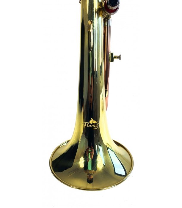 Flame Pro FG 8612 G Fligorn [2]
