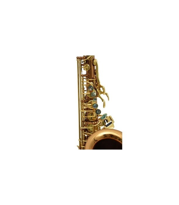 Flame Pro JYAS-1102 CG [6]