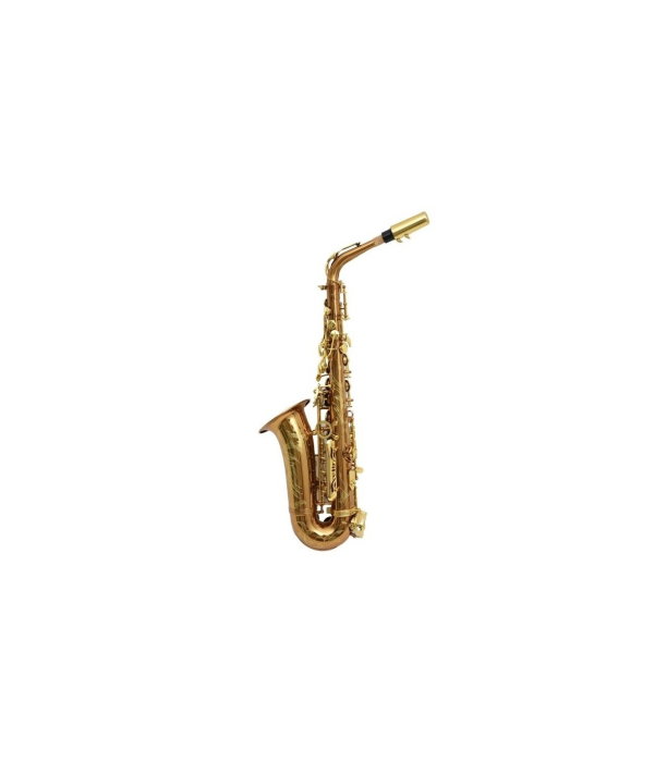 Flame Pro JYAS-1102 CG [7]