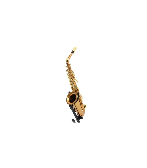 Flame Pro JYAS-1102 CG [2]