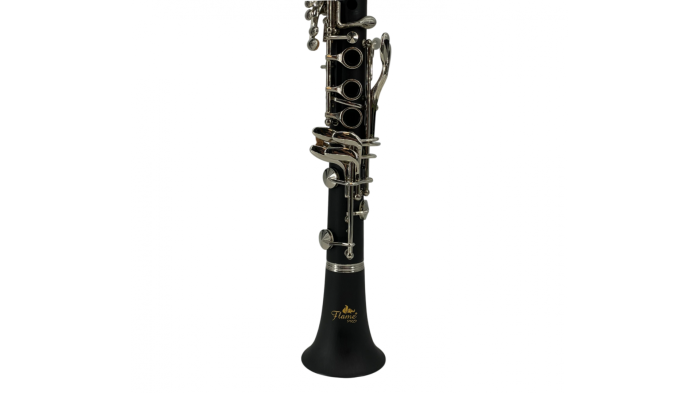 Flame Pro JYCL 302 Clarinet [3]