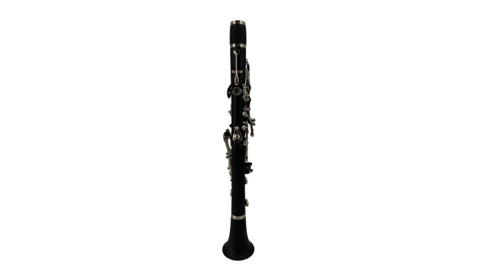 Flame Pro JYCL 302 Clarinet [2]