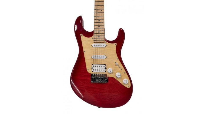 Flame Pro MC ST250 TRS [3]