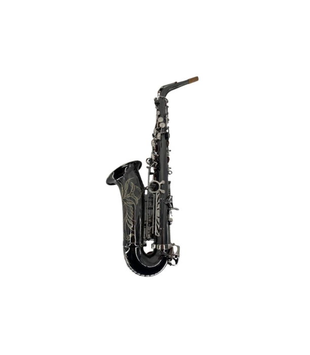 Flame Pro MSA530 MIb BK Nickel Sax Alto [2]