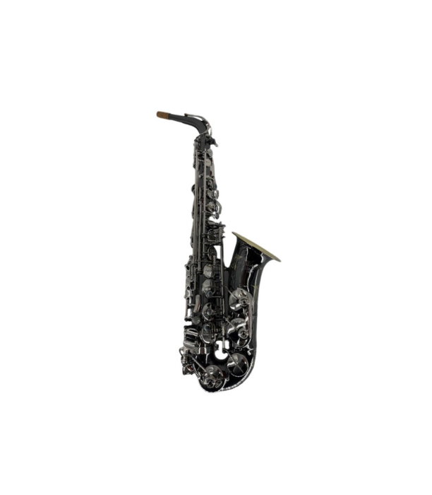 Flame Pro MSA530 MIb BK Nickel Sax Alto [2]