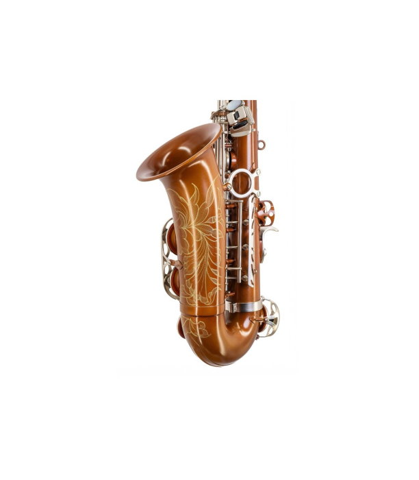 Flame Pro MSA535 [5]