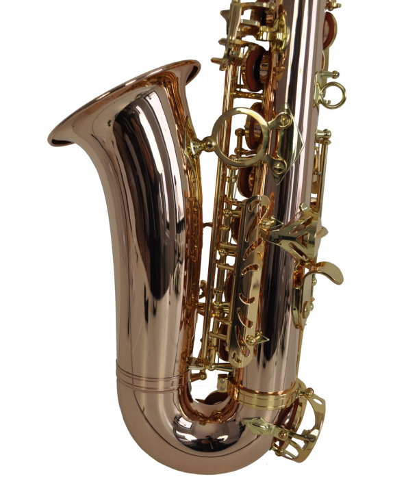 Flame Pro SP-1011 RG [5]