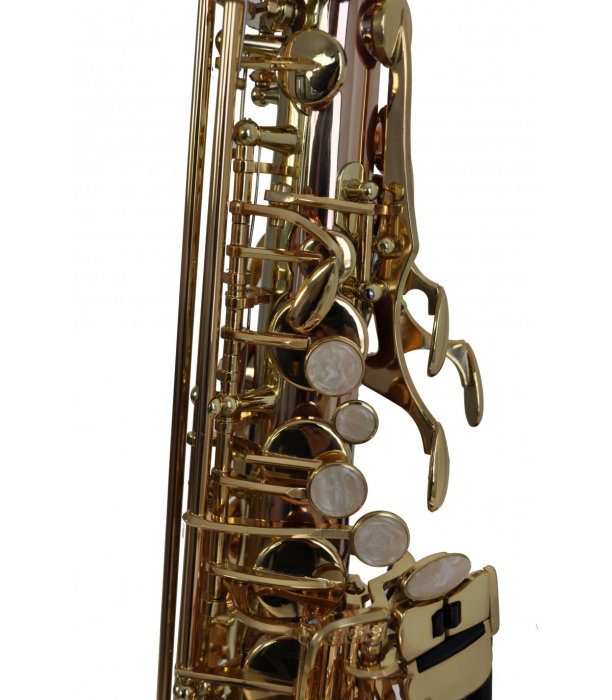 Flame Pro SP-1011 RG [4]