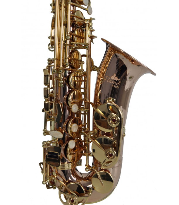 Flame Pro SP-1011 RG [3]