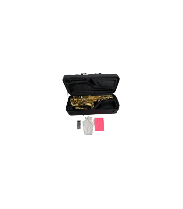 Flame Pro YK-628 Saxofon Alto [6]