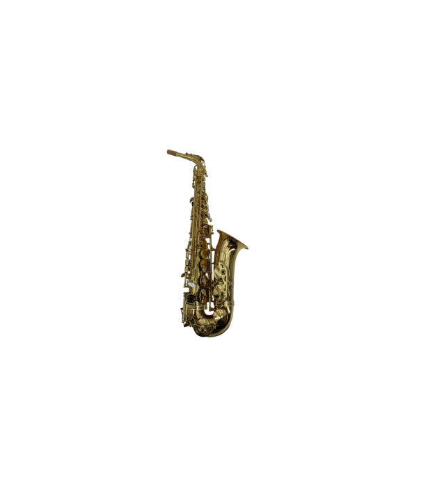 Flame Pro YK-628 Saxofon Alto [2]