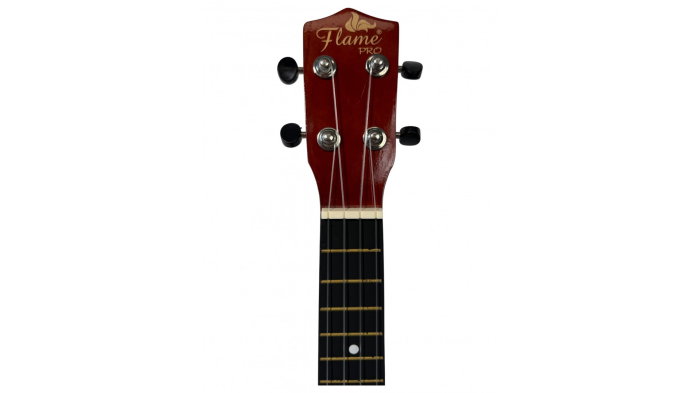 Flame UK 10 [4]