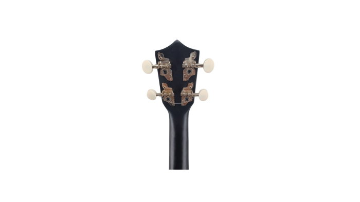 Flame UK229-21 BK [5]