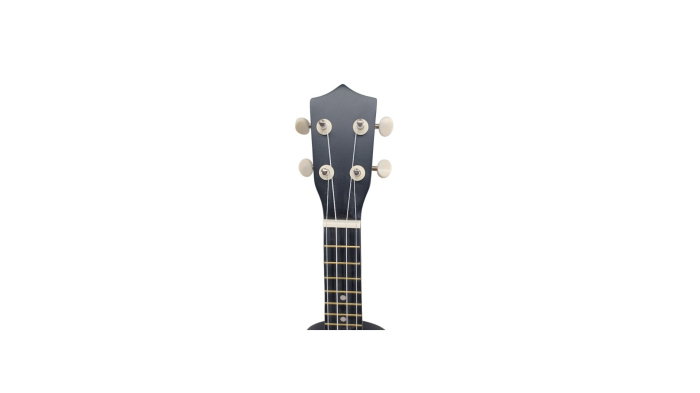 Flame UK229-21 BK [3]
