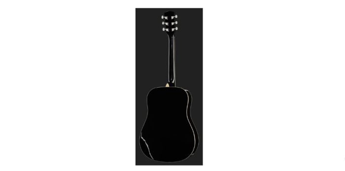 Chitara acustica Harley Benton D-120BK [2]