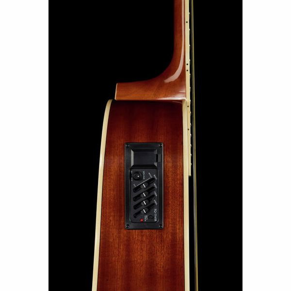 Harley Benton D-120CE NT [13]