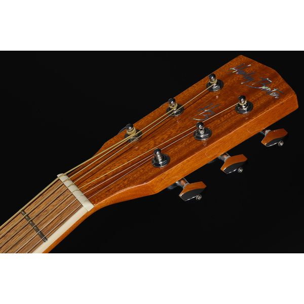 Harley Benton D-120CE SB [12]