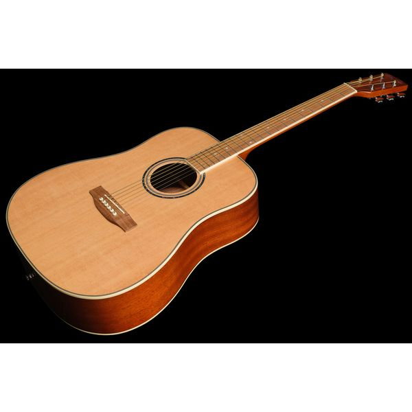 Harley Benton D-120NT [8]