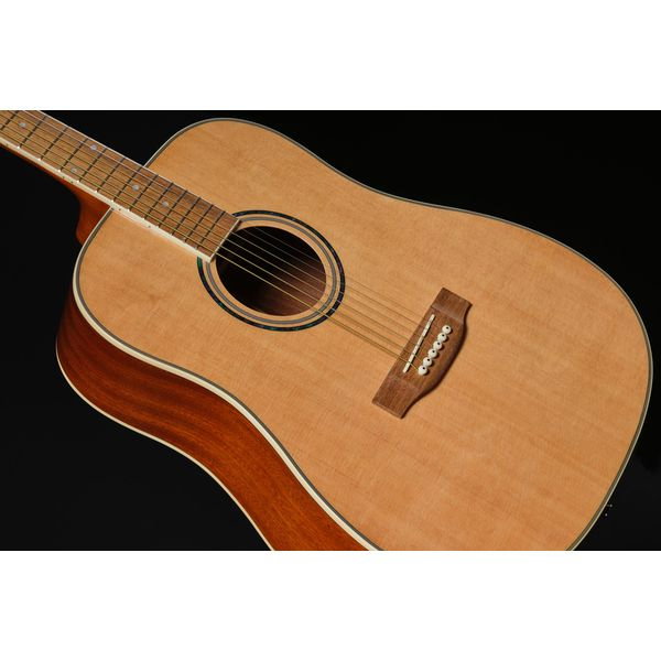 Harley Benton D-120NT [11]