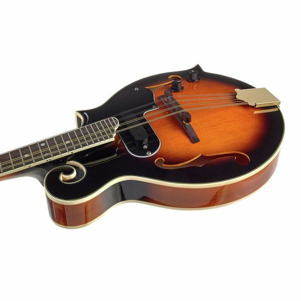 Harley Benton HBMA-100E- VS [5]