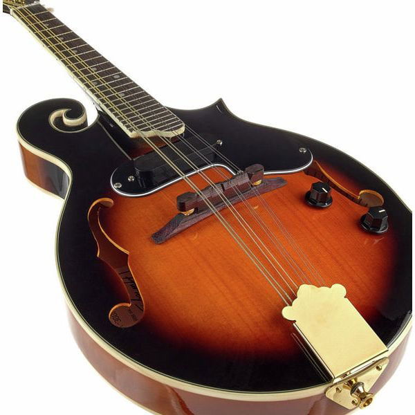 Harley Benton HBMA-100E- VS [6]