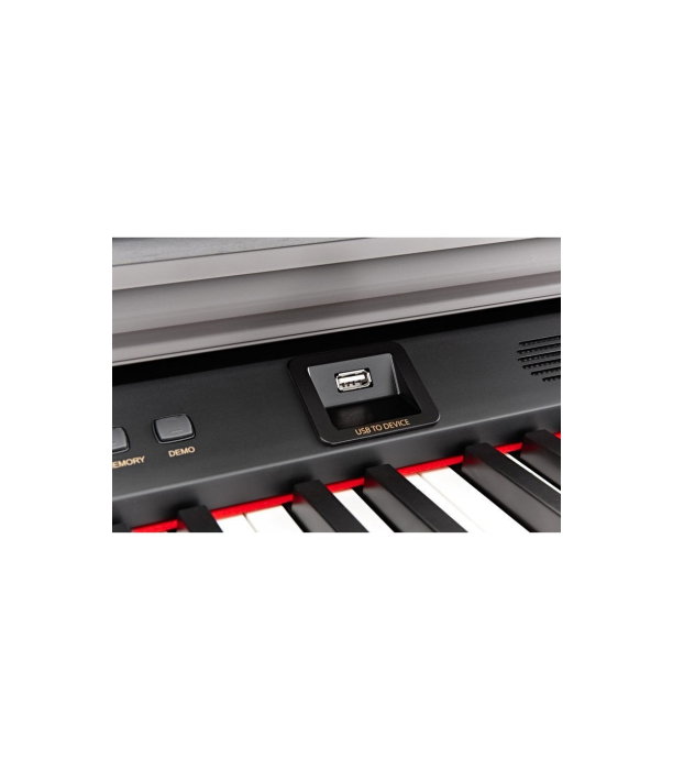 Hemingway DP-501 MKII RW [11]