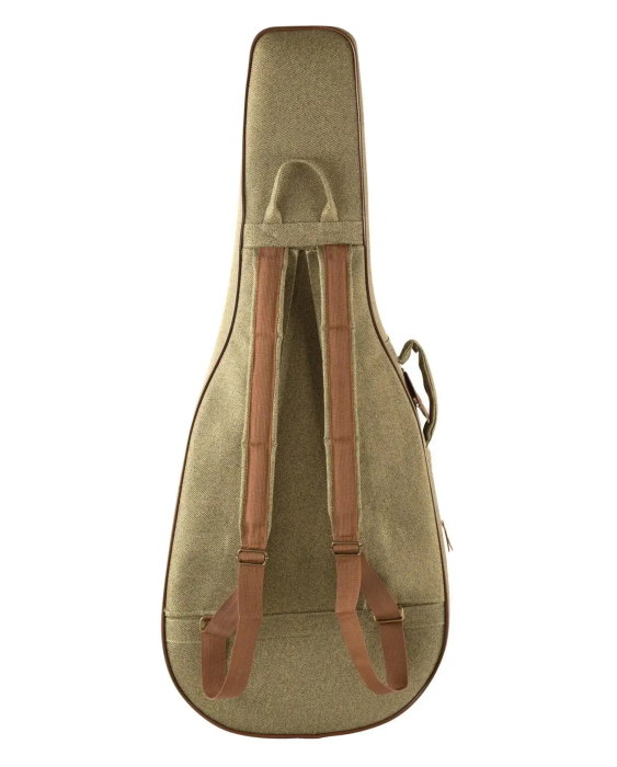 Ibanez FS40DA - Case chitara acustica [5]