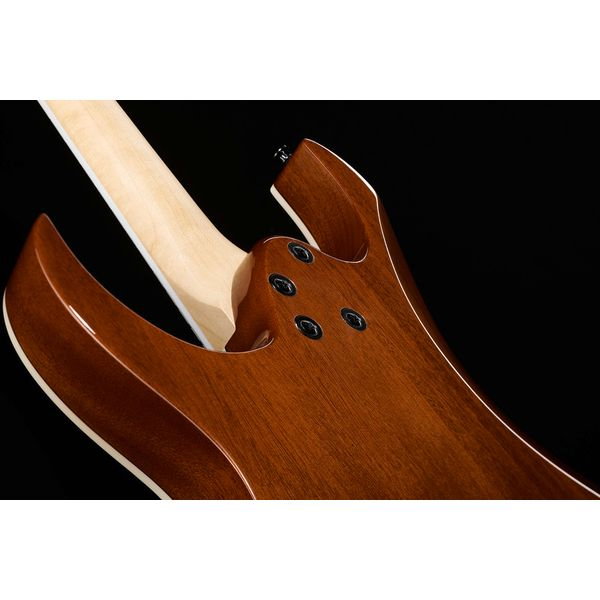 Ibanez GRGR221PA-AQB - Chitara Electrica [12]