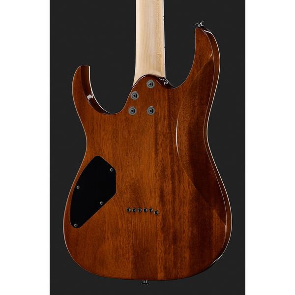 Ibanez GRGR221PA-AQB - Chitara Electrica [5]