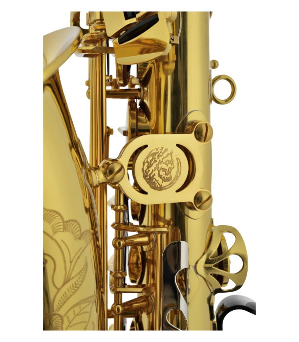 Jupiter Stellar JASSTRQ [5]