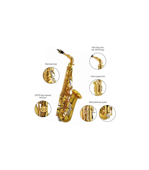 Jupiter Stellar JASSTRQ [9]