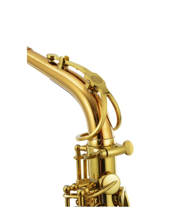 Jupiter Stellar JASSTRQ [8]