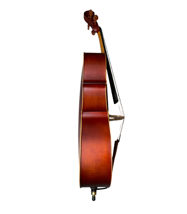 Karl Hoffmeister MC 761B Violoncel 4/4 [3]