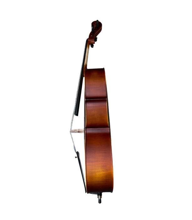 Karl Hoffmeister MC 864L Violoncel 4/4 [2]