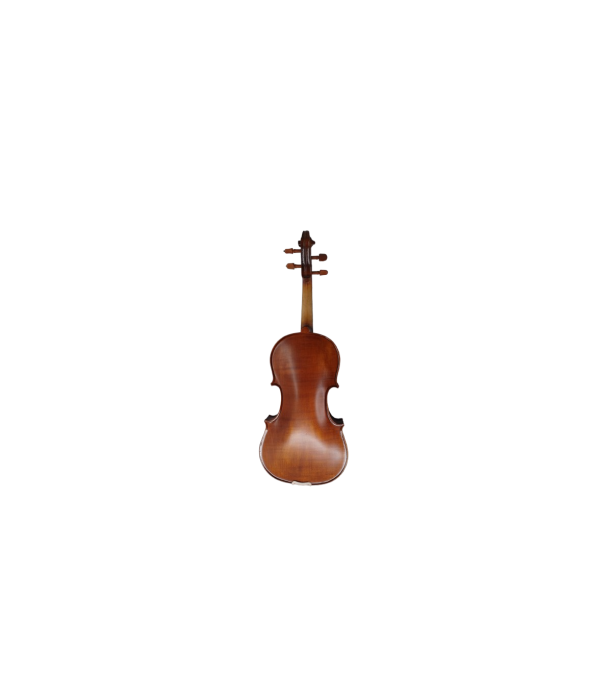 Karl Hoffmeister MV015B Advanced Vioara 4/4 [2]