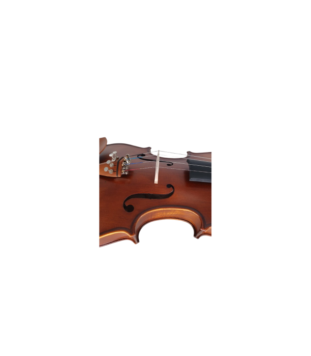 Karl Hoffmeister MV015B Advanced Vioara 4/4 [5]