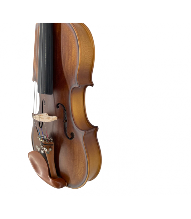 Karl Hoffmeister MV015B Vioara 1/2 Advanced [4]