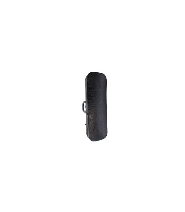 Karl Hoffmeister MV400-1 Solist Plus Vioara 4/4 [7]