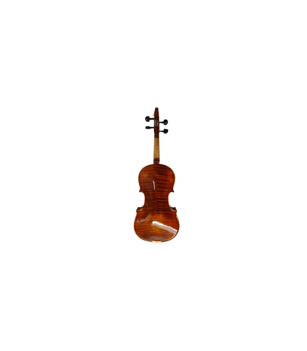 Karl Hoffmeister MV400-1 Solist Plus Vioara 4/4 [2]