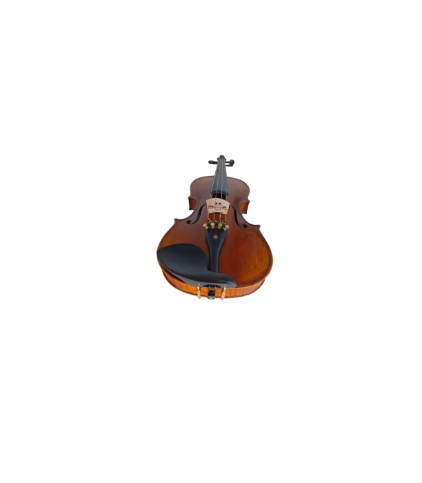 Karl Hoffmeister MV400-1 Solist Plus Vioara 4/4 [4]