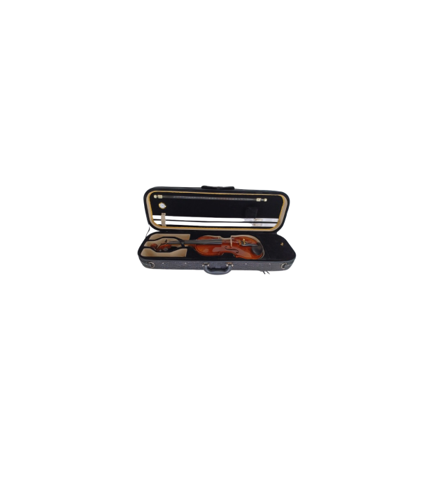 Karl Hoffmeister MV400-1 Solist Plus Vioara 4/4 [6]