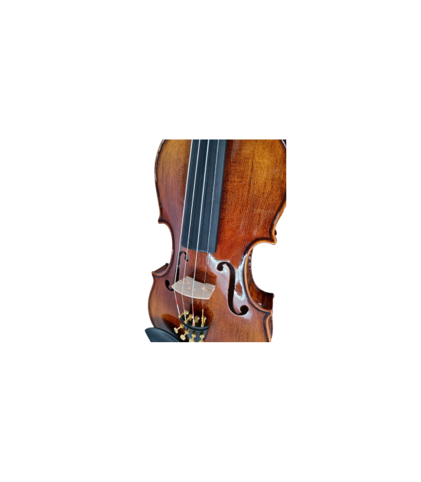 Karl Hoffmeister MV400-1 Solist Plus Vioara 4/4 [5]