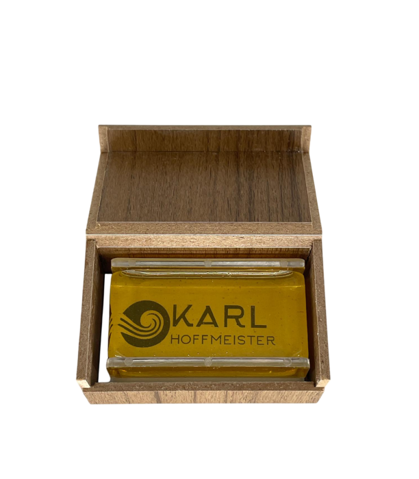Karl Hoffmeister MVRS Sacaz Vioara [2]