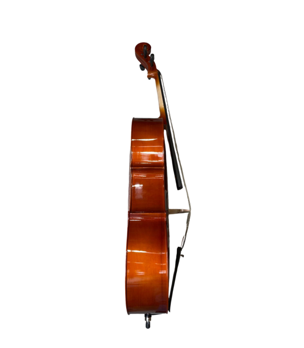 Karll Hoffmeister MC760L Violoncel 4/4 [2]