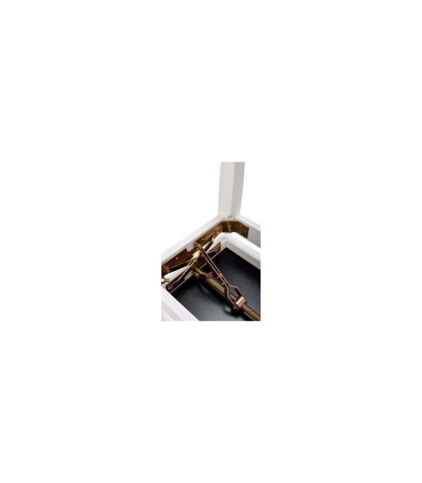 Kawai CA-401 W Set [6]