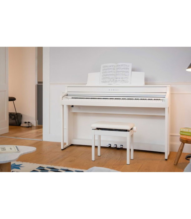 Kawai CA-501 W [4]