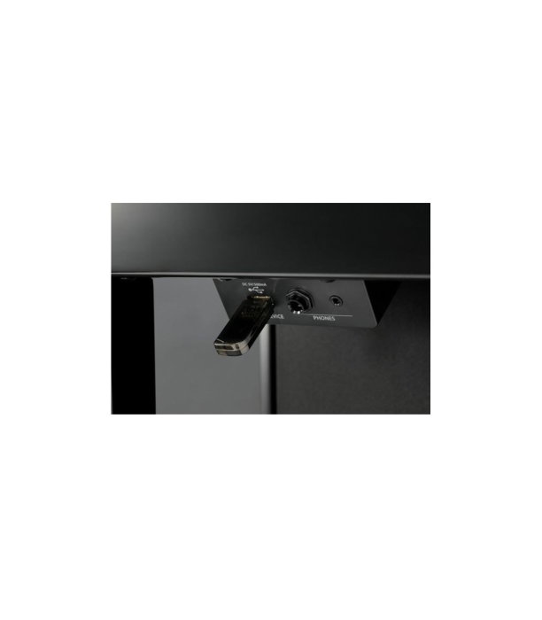 Kawai CA-901 EP [6]